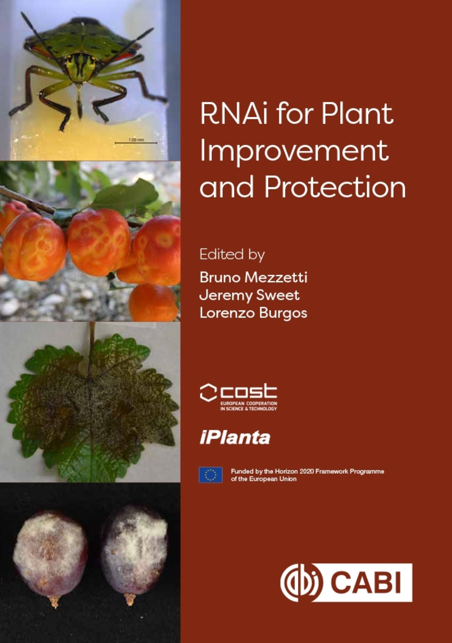 Cover image for RNAi for Plant Improvement and Protection ISBN 9781789248890